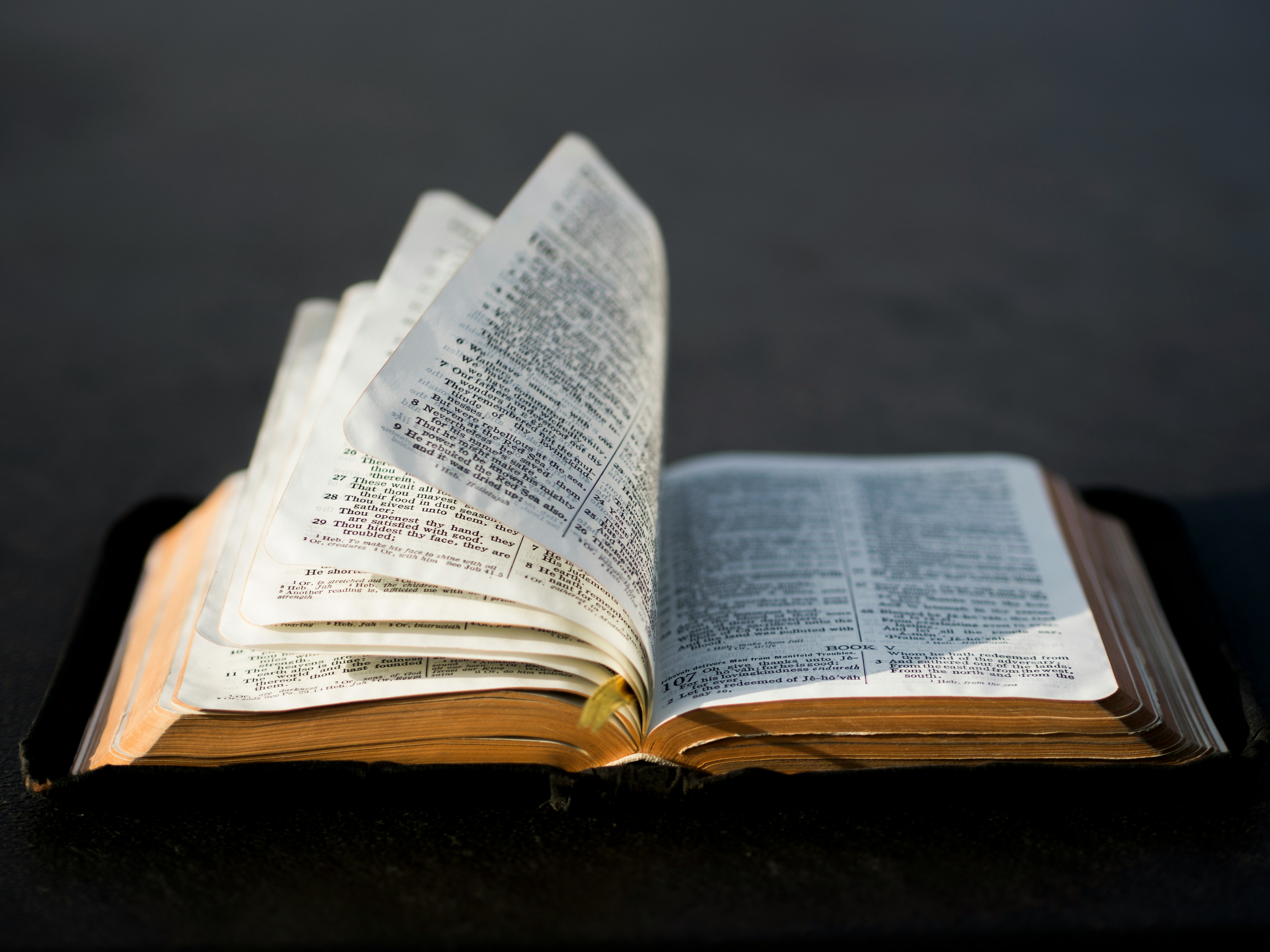 Bible Class